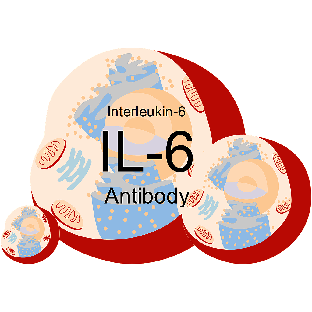 Mouse anti- human IL-6 monoclonal antibody