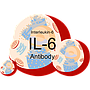 Mouse anti- human IL-6 monoclonal antibody